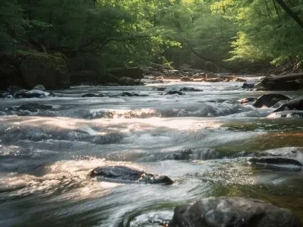 River Of Healing