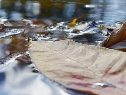 River Of Mindfulness