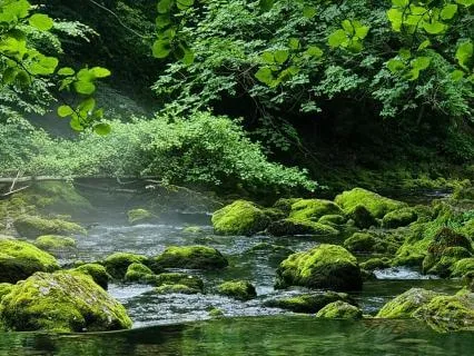 River of Peace | Healing Bansuri & Dulcimer for Deep Calm