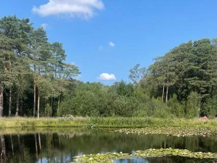 River Of Renewal Deep Relaxation, Letting Go & Inner Peace