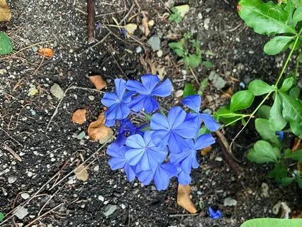 River Of Stillness - Yoga Nidra For Creativity