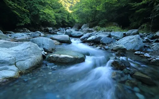 River Of Yes: A Practice For Flowing With What Is