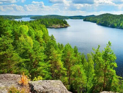 River's Morning Song | Native American Flute