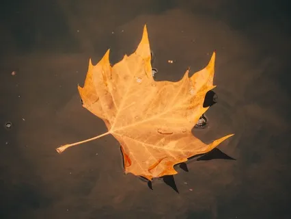 River Thoughts Meditation