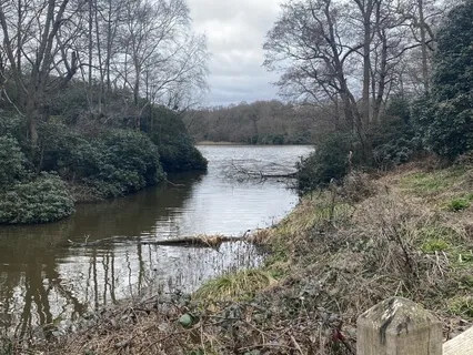 River Tillingbourne Flowing Tranquility: Meditation Sounds