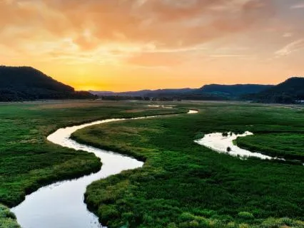 River Unbound: Intestinal Flow