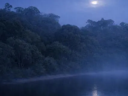 River Waves 01 | 10 Hour Nature Soundscape For Sleep Or Calm