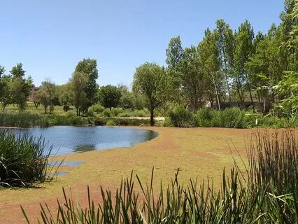 Riverbank Meditation