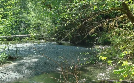 River's Edge Relaxation