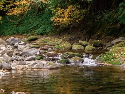 Riverside Flow: Didgeridoo Crown Chakra Meditation