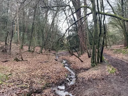 Riverside Serenity: Soothing Sounds For Meditation