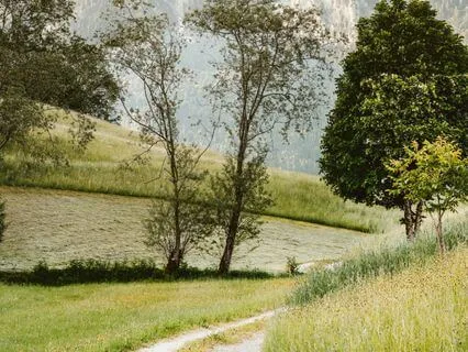 Road To The Mountain