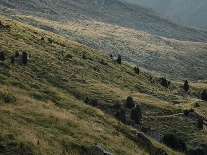 Road To The Mountains