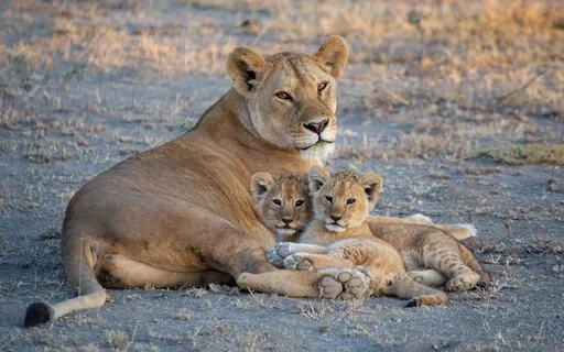 Родительские Тёплые Послания для Внутреннего Ребёнка