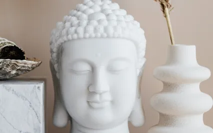 Roller Coaster Of Emotions