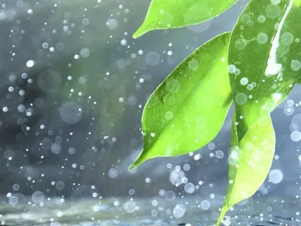 Rolling Thunder And Rainstorm Sounds For Relaxation