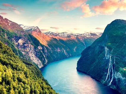 Live Workplace Drop In Grounding & Stillness Practice