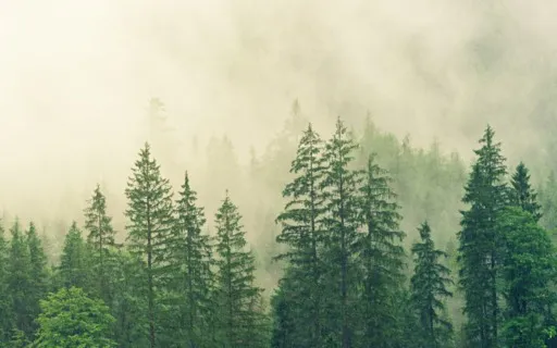 Romans 15:13 NIV - Hope, Joy, Peace, Trust (No Music)