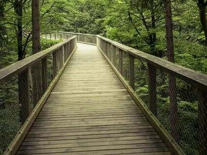 Romantic Guitar Melody