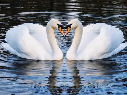 Romantic Relationships As Doorways To Sacred Union