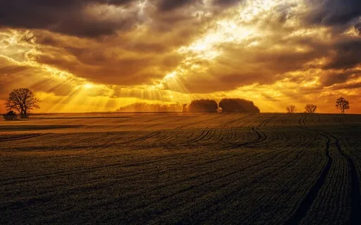 Romantic Reset - Passionate - Dramatic Harp - 432Hz