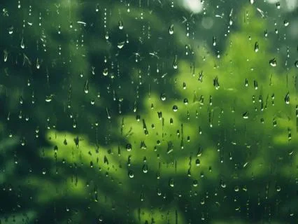 Ronroco & Rain - Mindfulness Session with Tingsha Bells