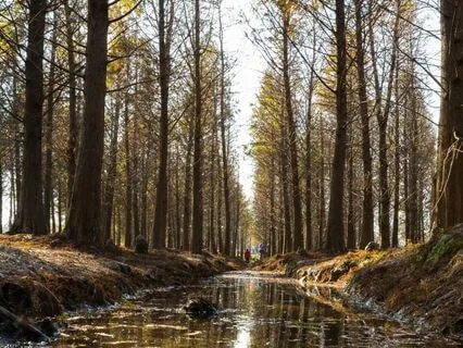 Roo's Big Jump: A Winnie-The-Pooh Bedtime Story