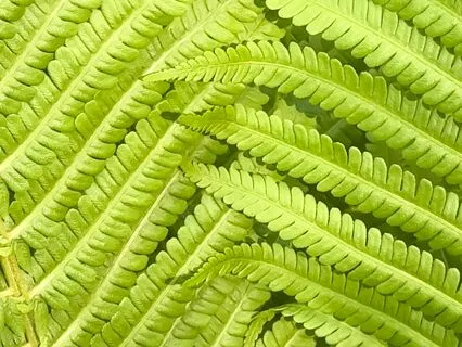 Room To Breathe - Power Punch