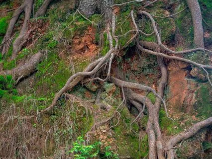 Daily Reset: A Grounding Meditation For Safety + Trust