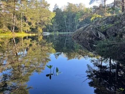 Root & Heart Chakra Meditation I 45 Minutes