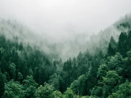 Ground Down: Root Chakra