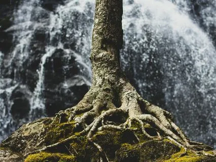 Root Chakra Activation Meditation