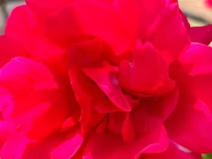 Root Chakra Affirmation