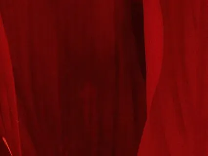 Root Chakra Affirmations - Grounding