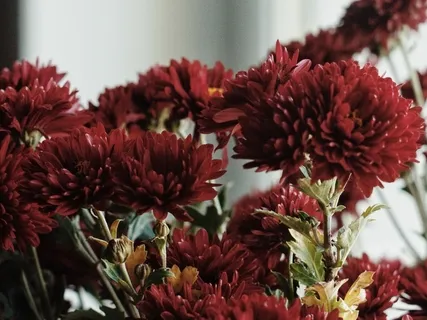 Root Chakra Affirmations 