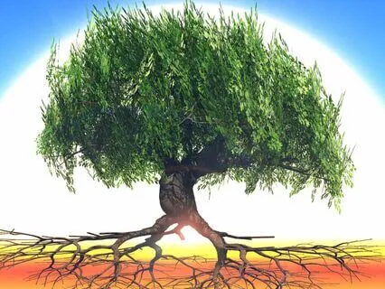 Root Chakra Affirmations