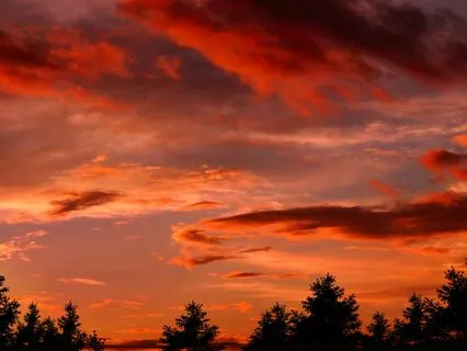 Root Chakra Affirmations