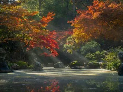 Root Chakra Alchemy Practice