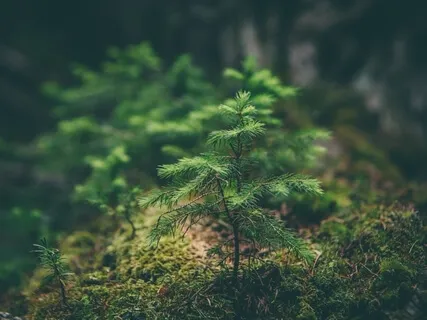 Root Chakra - Find Balance, Grounding & Strength