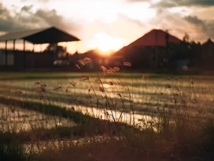 Root Chakra - Balancing And Healing