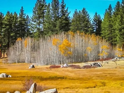 Root Chakra Balancing For Grounding