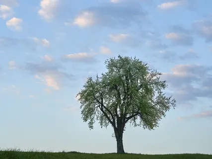 Root Chakra Balancing Practice