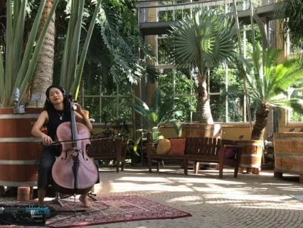 Root Chakra Cello for Grounding (Live At Hortus Botanicus)