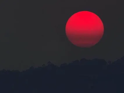 Root Chakra Clearing | Daily Energy Healing/Reiki