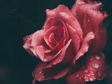 Root Chakra Crystal Bowl Healing