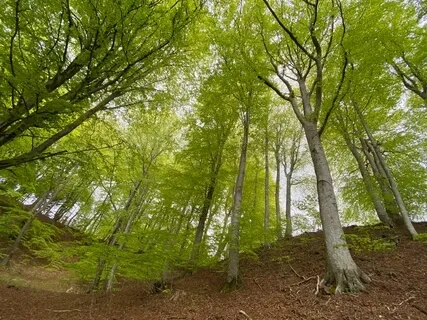 Root Chakra - Deep In The Ground