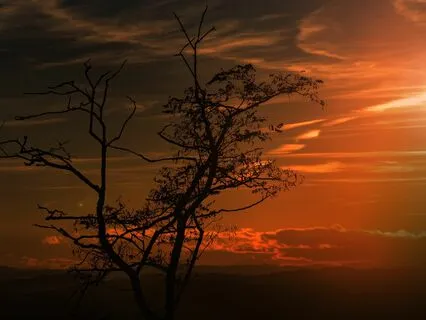 * Root Chakra Drone Healing Meditation (128 HZ frequemcy)