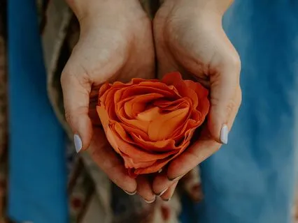 Root Chakra Energy Healing Transmission