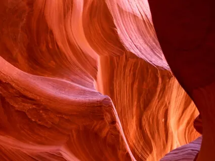 Root Chakra: Find Calm & Presence With Grounding Technique