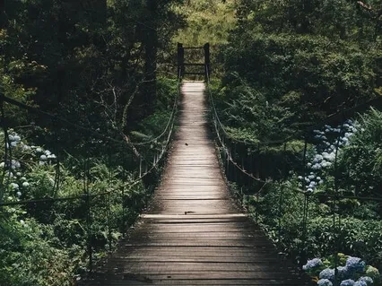 Root Chakra: Focus On Safety And Security